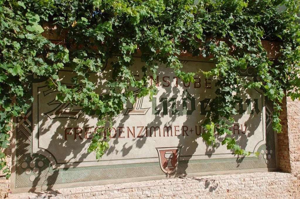 Zur Lindenau Hotel Rüdesheim am Rhein Kültér fotó